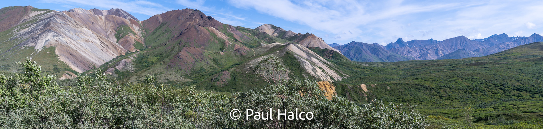 Paul Halco - Denali NP-25
